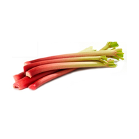 RHUBARB