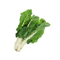 SILVERBEET