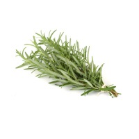 ROSEMARY