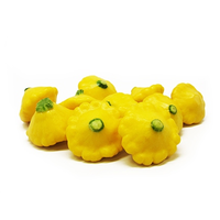 BUTTON SQUASH YELLOW