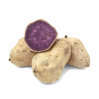 SWEET POTATO WHITE HAWAIIAN