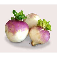 TURNIPS