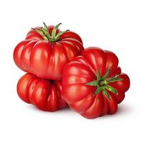 TOMATOES HERITAGE