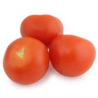 TOMATOES ROUND