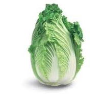 CABBAGE WOMBOK