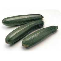 ZUCCHINI