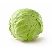 CABBAGE GREEN MEDIUM MIKOR