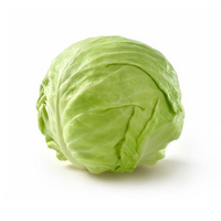 CABBAGE GREEN SMALL