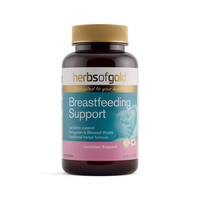 BREAST FEEDING SUPPORT