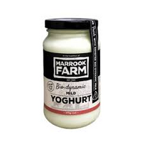 MILD BIODYNAMIC YOGHURT