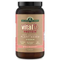 PROTEIN STRAWBERRY