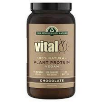 PROTEIN CHOCOLATE