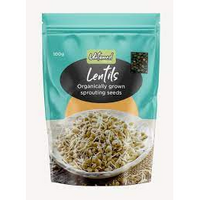 LENTIL SPROUTING SEEDS