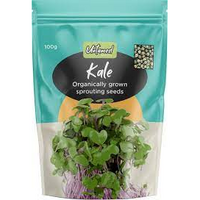 KALE SPROUTING SEEDS
