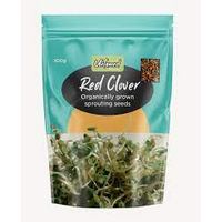 RED CLOVER SPROUTING SEEDS