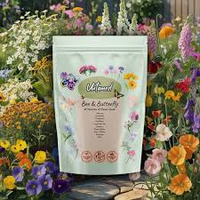 BEE & BUTTERFLY FLOWER SEED