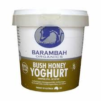 YOGHURT BUSH HONEY