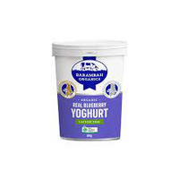 BLUEBERRY YOGHURT