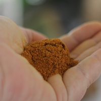CERTIFIED ORGANIC INDIAN CURRY POWDER