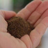 CERTIFIED ORGANIC GARAM MASALA