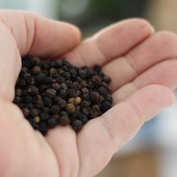 CERTIFIED ORGANIC WHOLE BLACK PEPPER