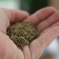 CERTIFIED ORGANIC THYME