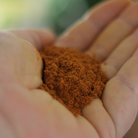 CERTIFIED ORGANIC MADRAS CURRY POWDER