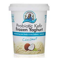 PROBIOTIC KEFIR FROZEN YOGHURT COCONUT