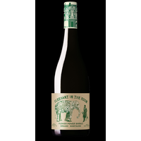 SHIRAZ