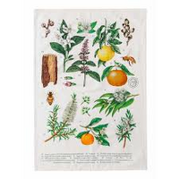 TEA TOWEL BOTANICAL