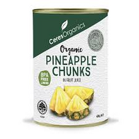 PINEAPPLE PIECES IN JUICE