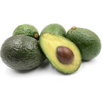 AVOCADO SHARWIL EACH CERTIFIED NASAA QLD