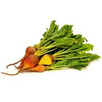 BEETROOT BUNCH GOLD