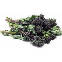 BROCCOLINI PURPLE