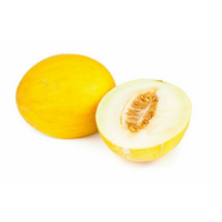 HONEYDEW MELON YELLOW
