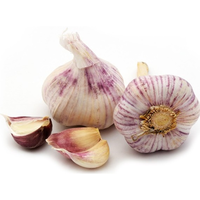 GARLIC ITALIAN