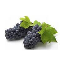 GRAPES MELODY SEEDLESS