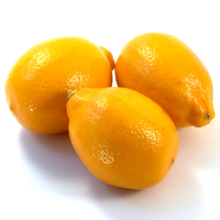 LEMONS EUREKA