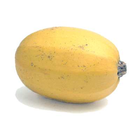 SPAGHETTI SQUASH