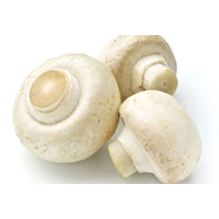 MUSHROOMS BUTTON