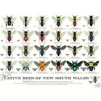 BEE POSTER OF NSW
