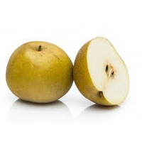 NASHI PEARS MED