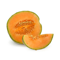 ROCKMELON