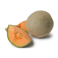 ROCKMELON