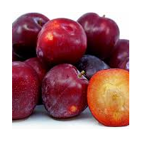 PLUMS SANTA ROSA