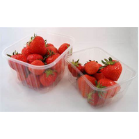 STRAWBERRIES PUNNET 2 buy